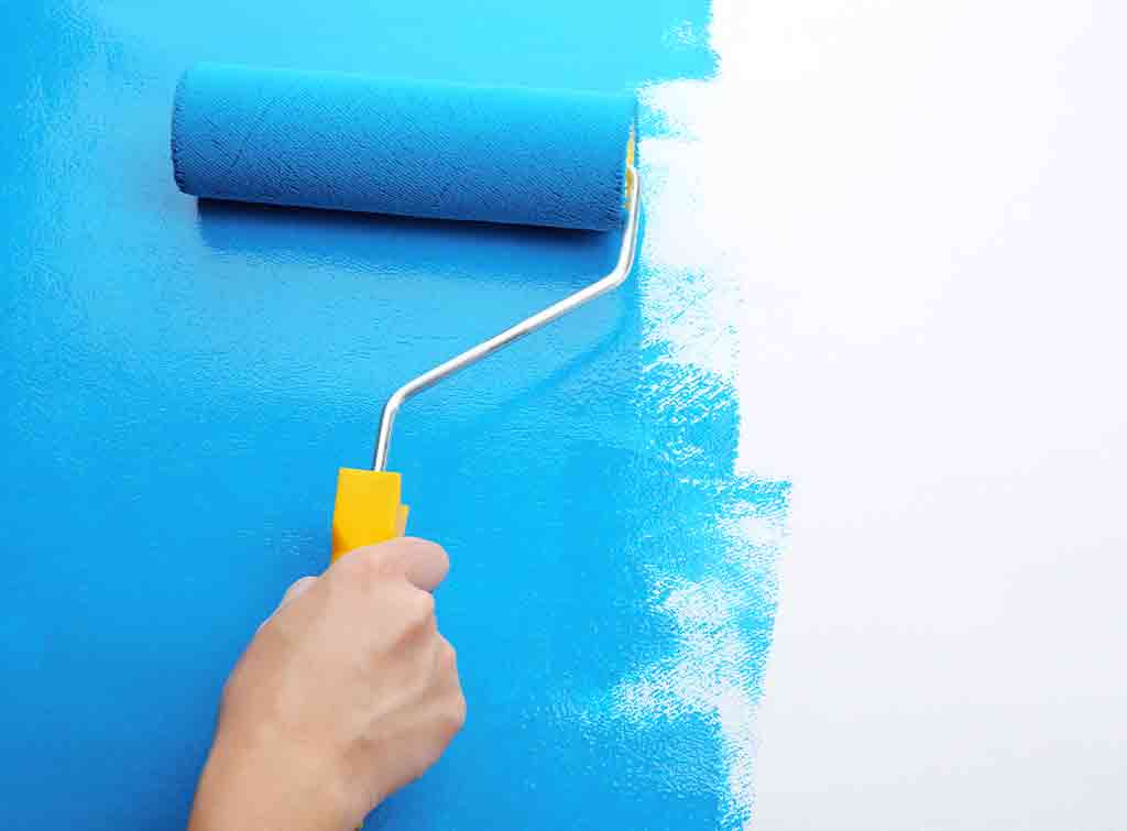 Painting walls store for beginners