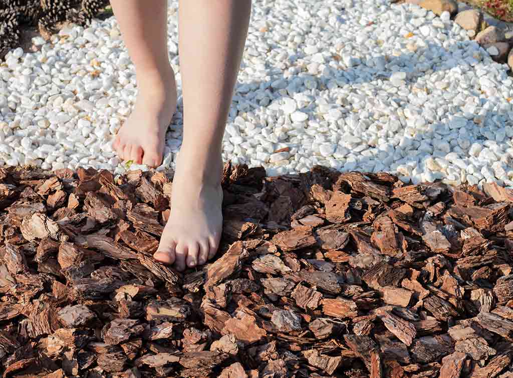 Sensory garden ideas for schools