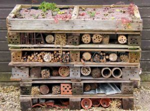 how to make a hedgehog house with logs