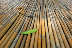Bamboo flooring with green leaf – Checkatrade blog on eco friendly bamboo flooring cost