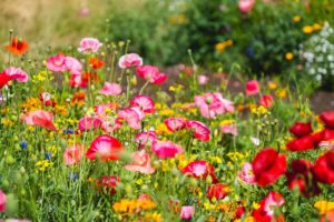Garden trends 2021