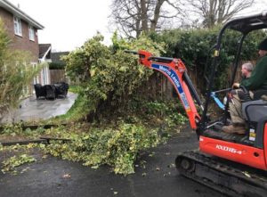 Green Garden Services digger removing ivy