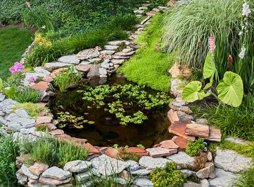 Stepping stone raised pond ideas