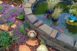 Raised pond ideas