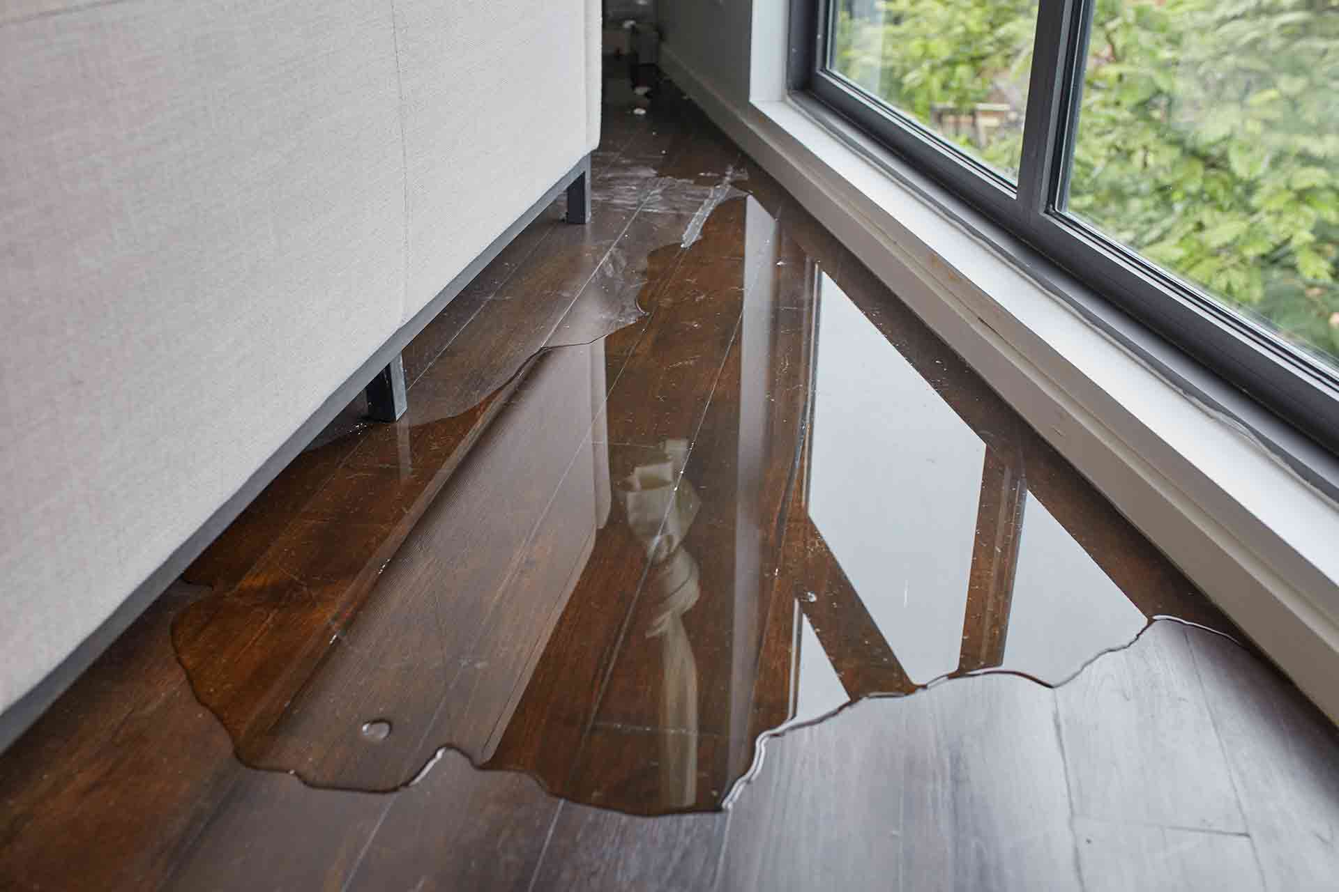How To Repair Water Damaged Floor How To Repair Water Damaged Floor | Checkatrade