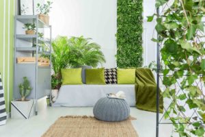 How to create a living wall