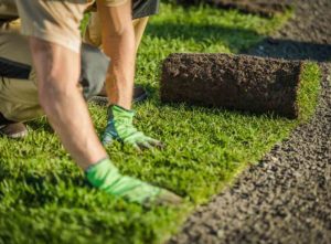 Benefits of laying turf