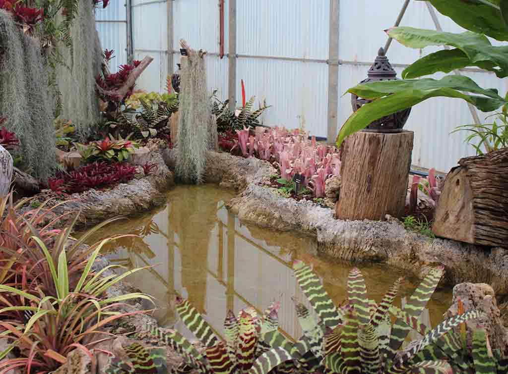 Indoor fish pond design