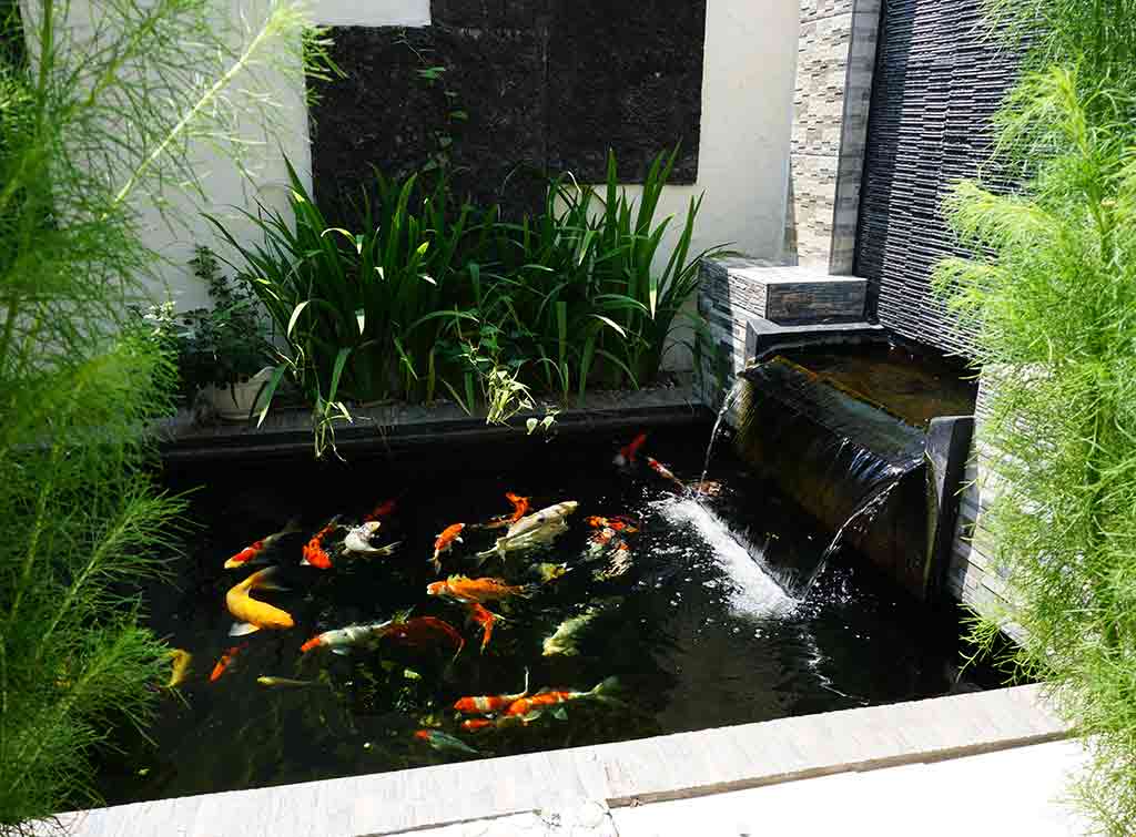 Waterfall idea in raised pond