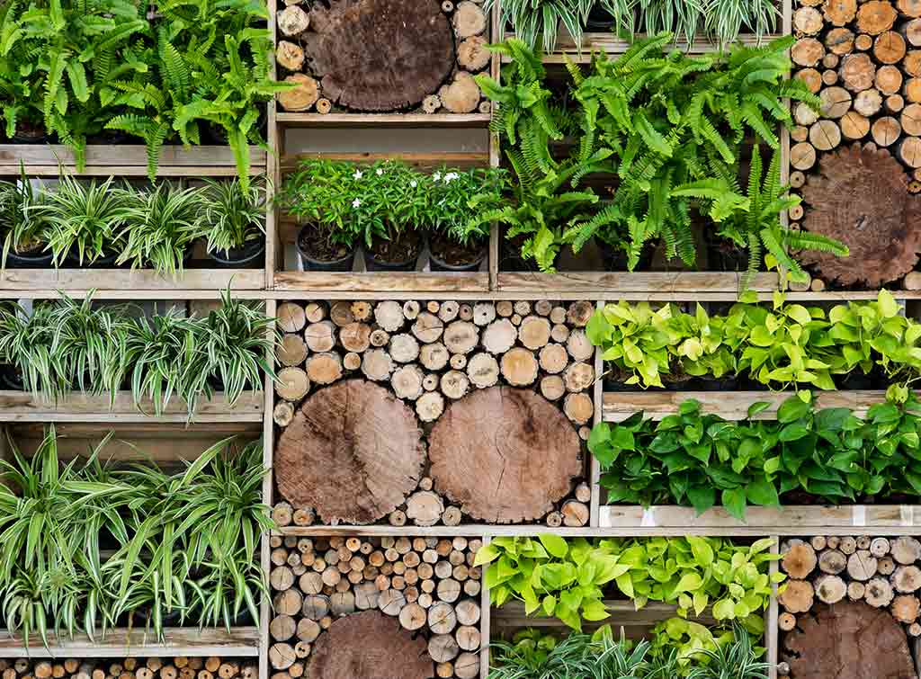 how to make a living wall using pallets