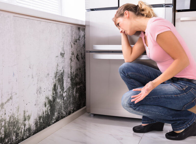 Mould in need of removal