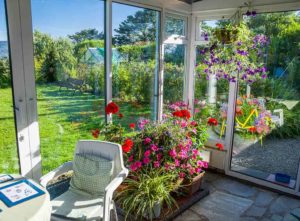 Flowers in small conservatory