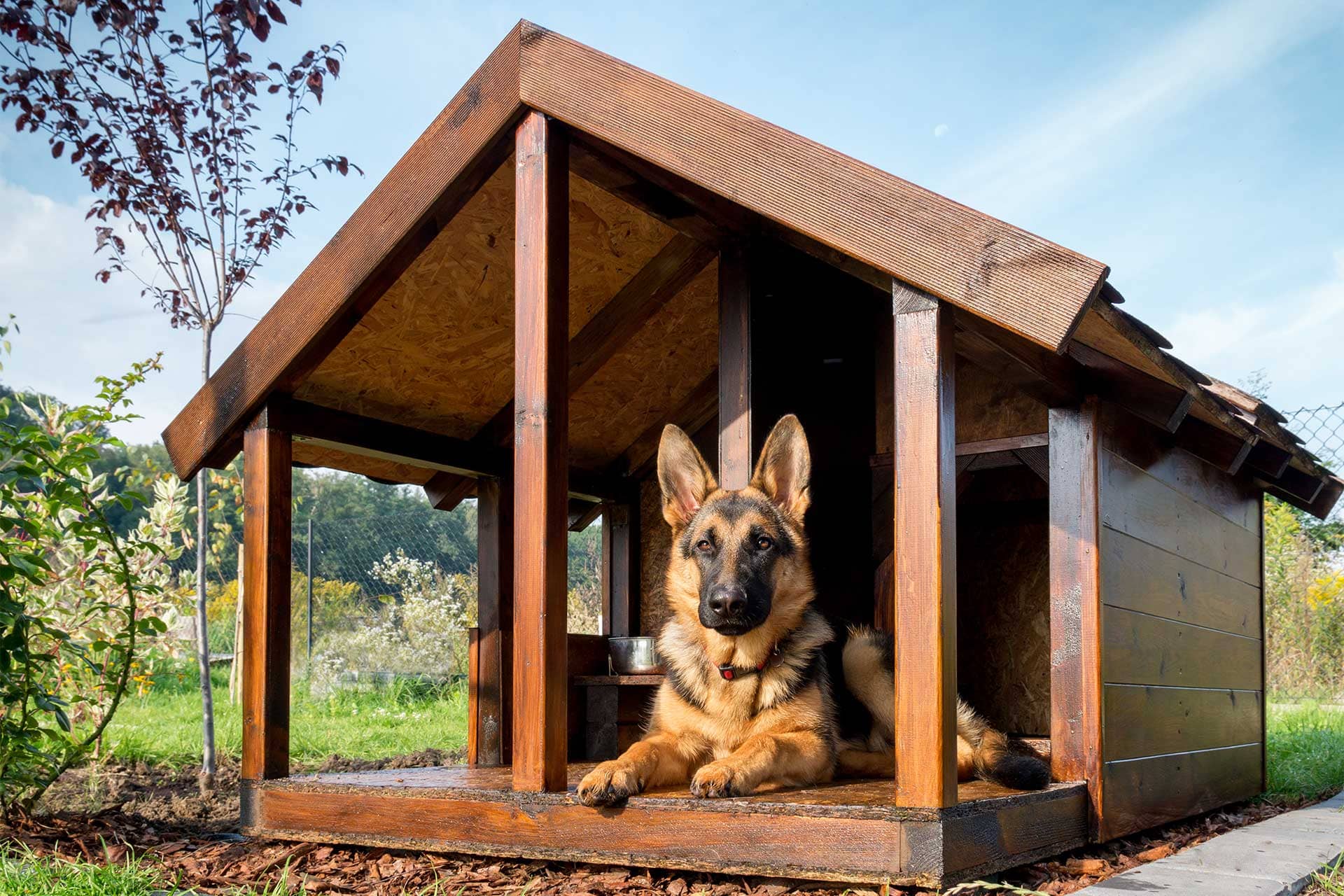 how much is a dog kennel