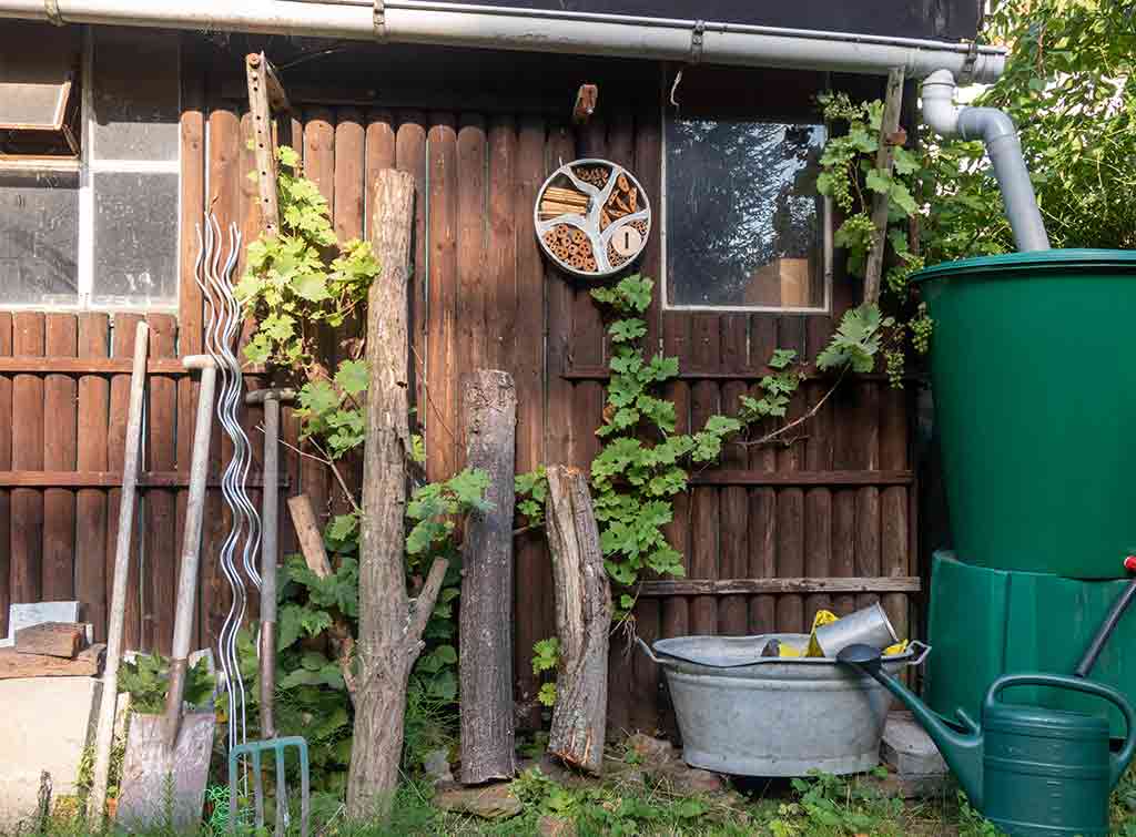 domestic rainwater harvesting system in garden