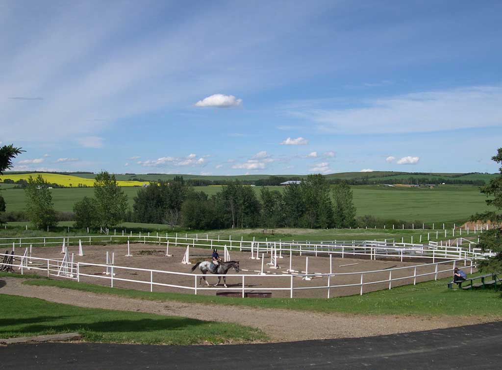 Outdoor riding arena cost