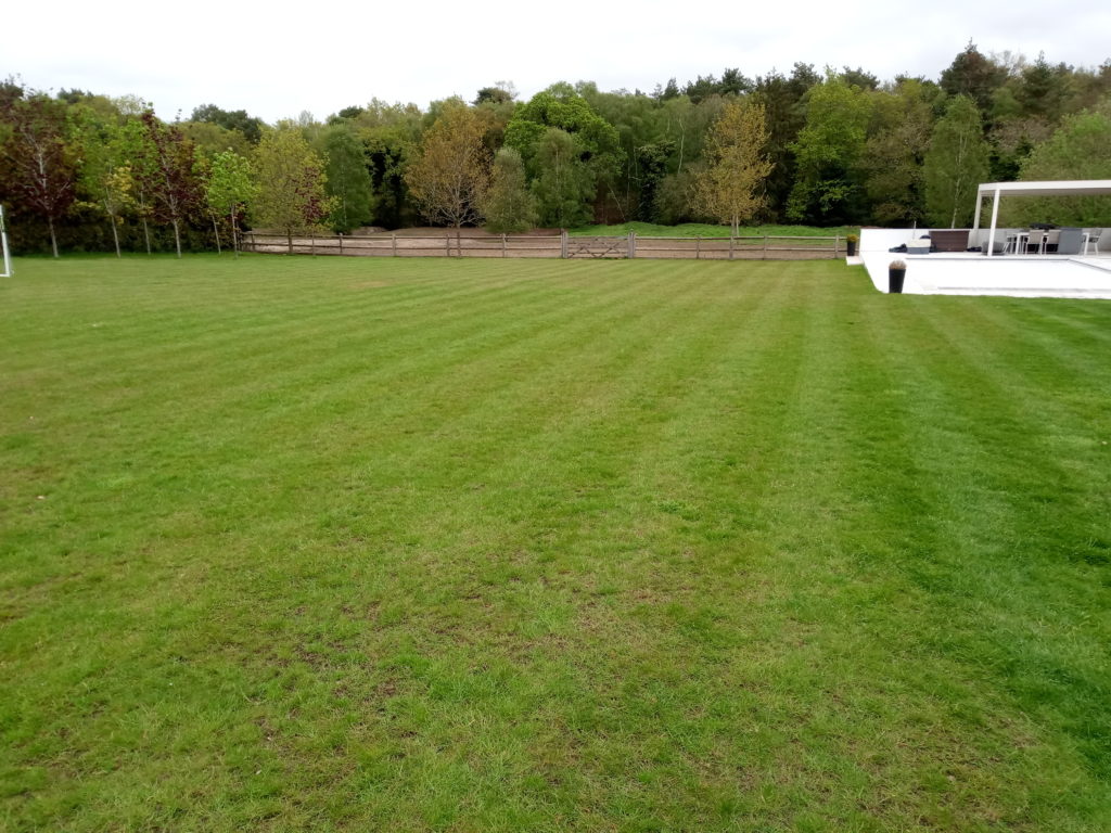 Green lawn well maintained and trees in the distance
