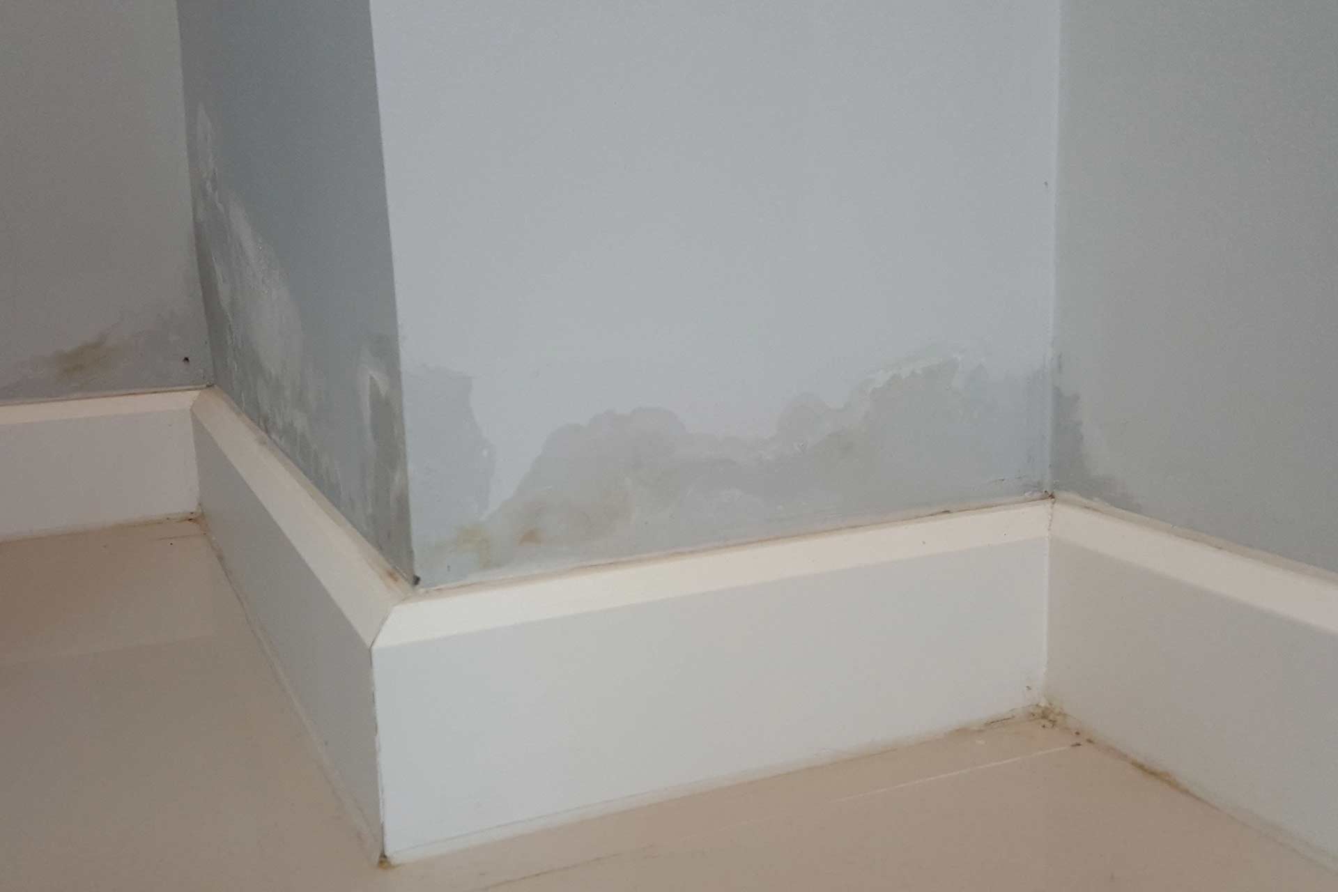 How to treat damp wall internally