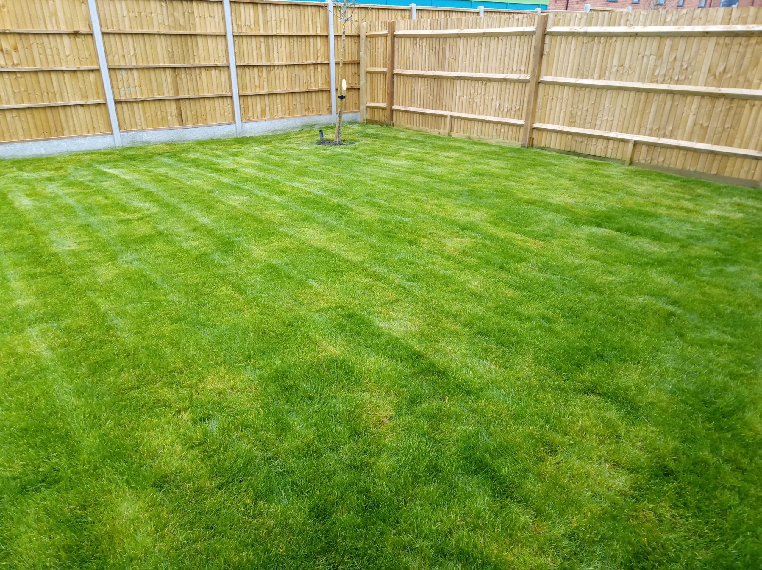 Neat and cared for cut lawn 