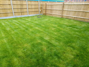 How Much do Grass Cutting Services Cost in 2024 Checkatrade