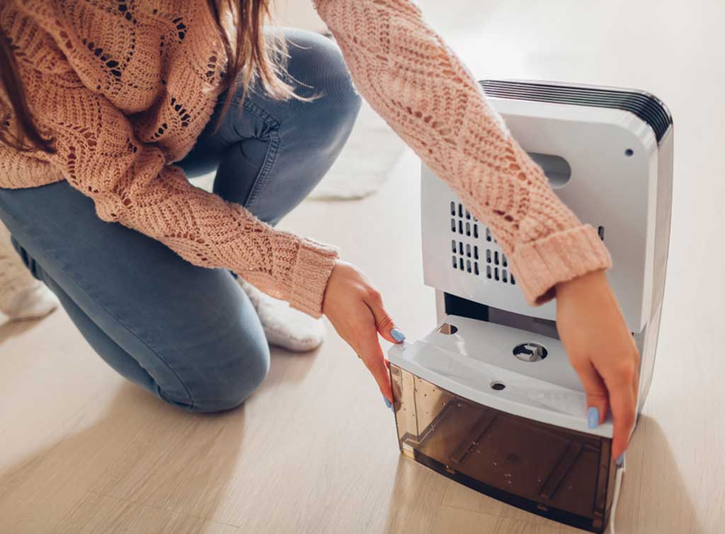 How to Get Rid of Damp Smells A Comprehensive Guide Checkatrade