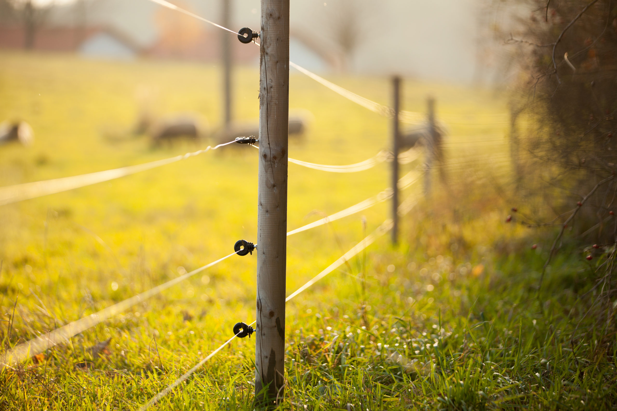 How Much Does it Cost to Install an Electric Fence in 2024