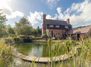 natural swimming pond cost