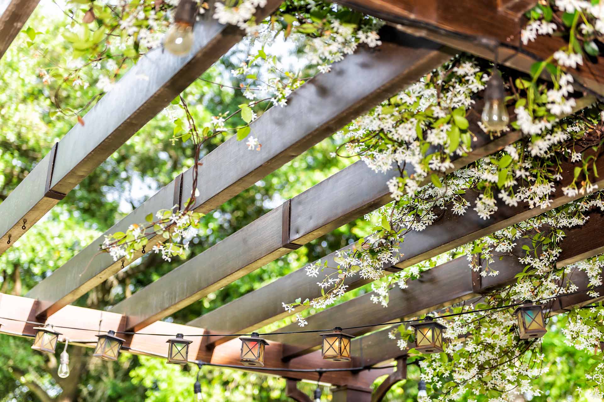 How Much Does A Pergola Cost in 2024 Checkatrade