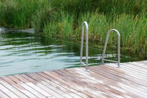 swimming pond cost