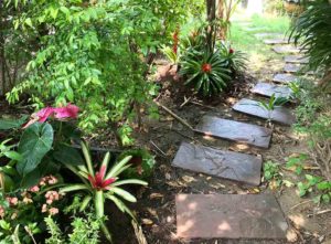 Tiled walkway in lush garden