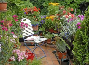 Bee friendly plants and flowers on a small balcony | Chelsea Flower Show Ideas