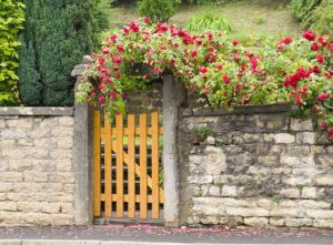 How to make a garden gate from wood