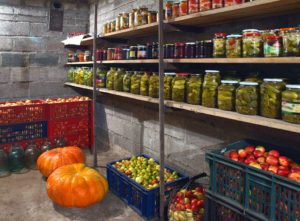 A cellar with shelves stocked with preserved produce - cellar tanking costs