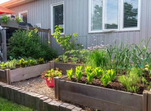 Cheap flower bed ideas and designs. Raised flowerbed.