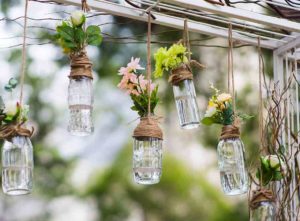 Plants in bottles for cheap garden decor