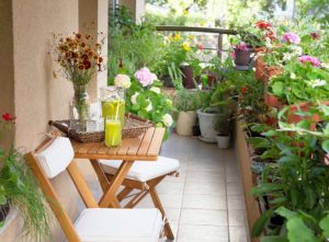 Balcony plants and perennials around the periphery | Chelsea Flower Show Ideas and Costs