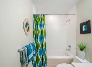 Colourful shower curtains for simple bathroom ideas on a budget