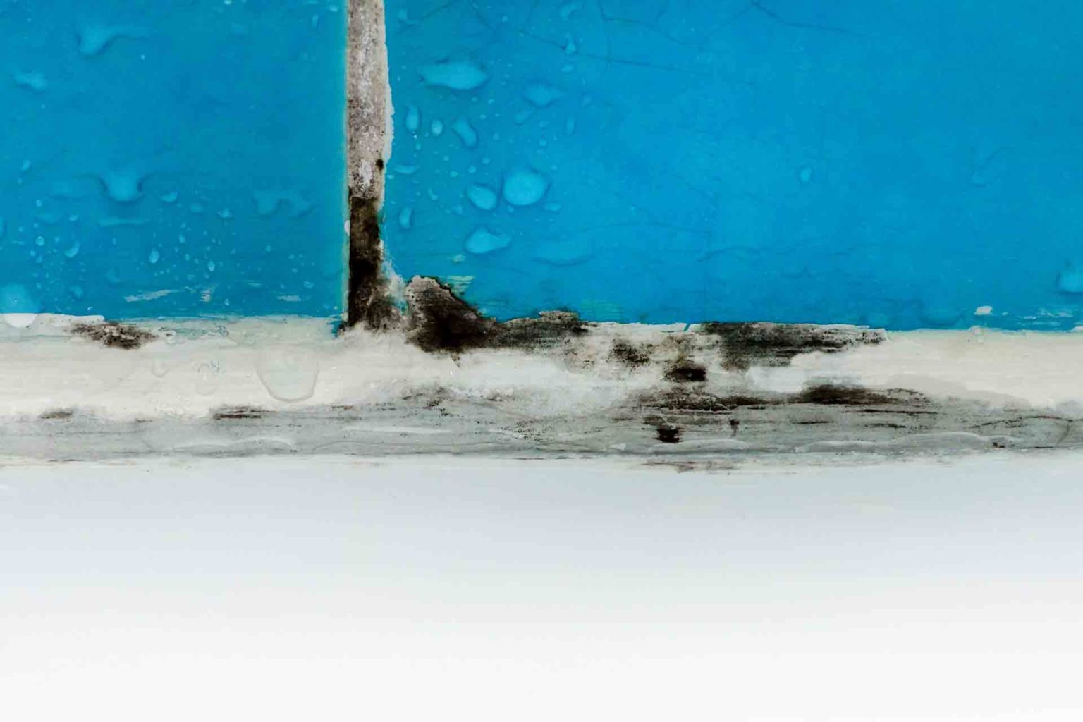 How to Get Rid of Damp Smells A Comprehensive Guide Checkatrade