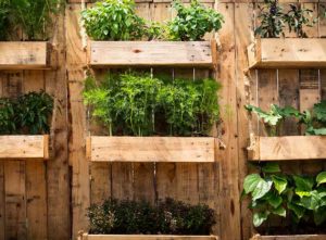 Recycled garden screening ideas