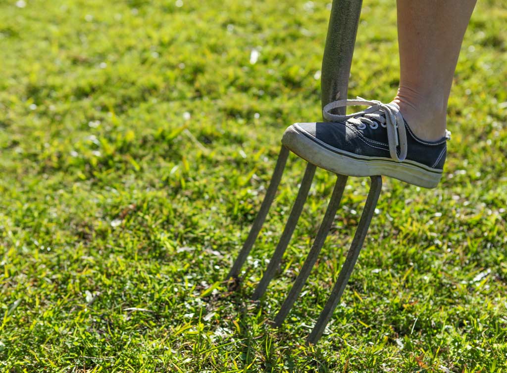 How to revive a lawn