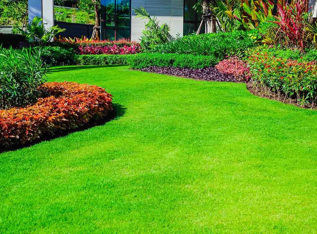 How to design your own garden - grass and colourful hedges