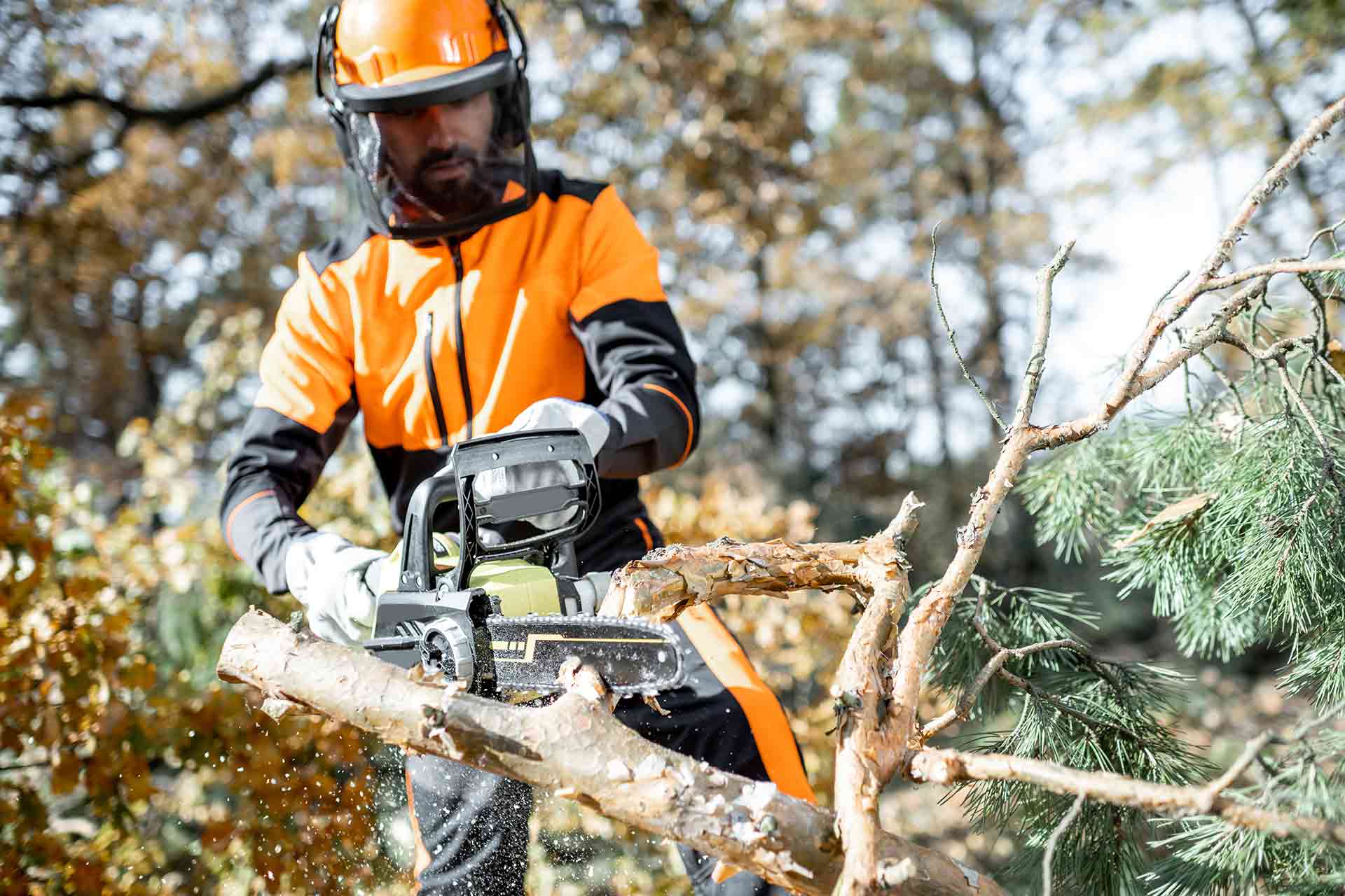 how to start a tree surgery business