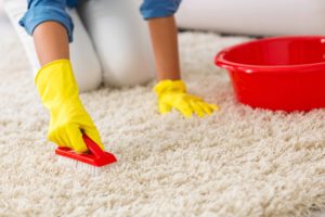 DIY carpet cleaning with shampoo