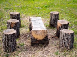 Tree stump table and chairs