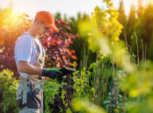 Gardener looking at garden design plans - cost of garden design consultation