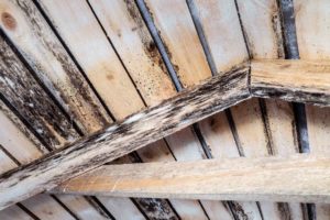 How to stop condensation in loft
