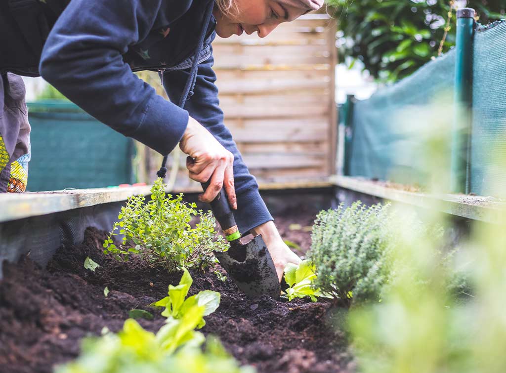 How to build raised beds for a kitchen garden