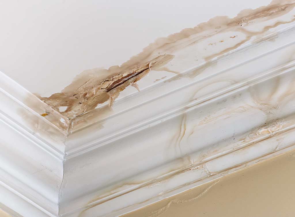 How to repair Victorian coving