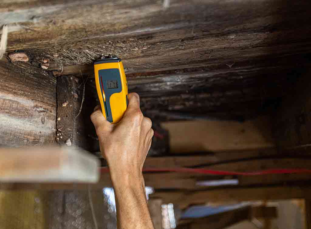 Top tips on finding reliable damp experts