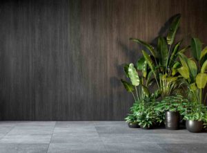 A wooden feature wall idea with plants in front of it