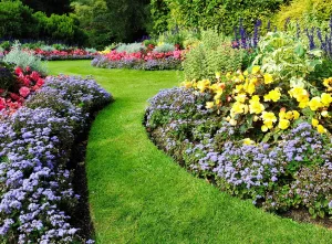 Landscaped garden by local gardener